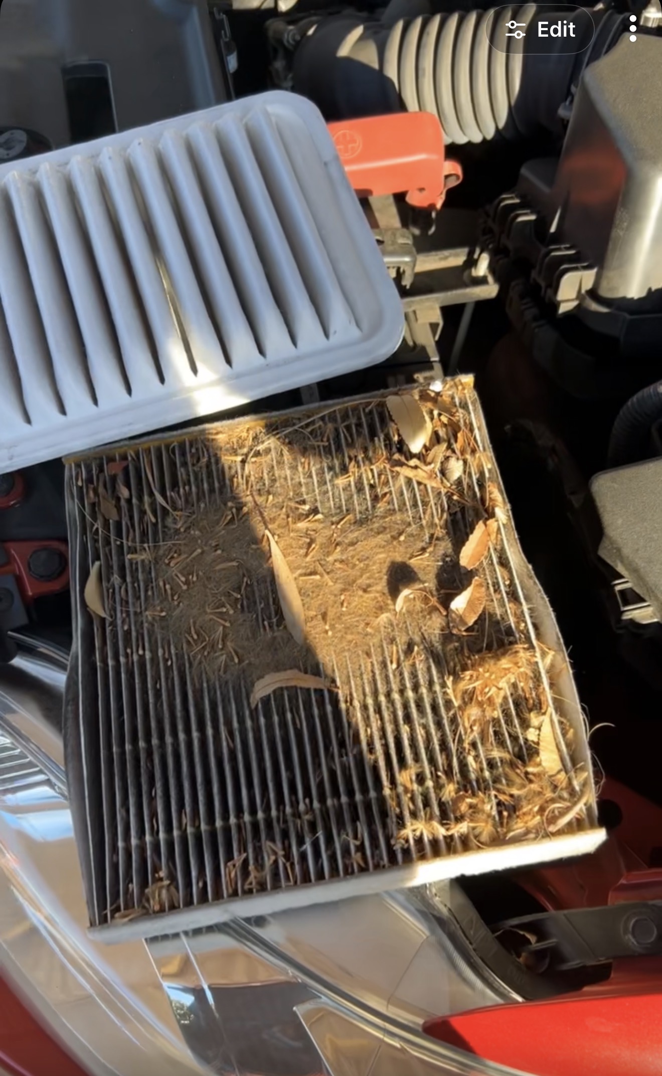 Cabin filter covered with leaves and debris beside a clean replacement filter